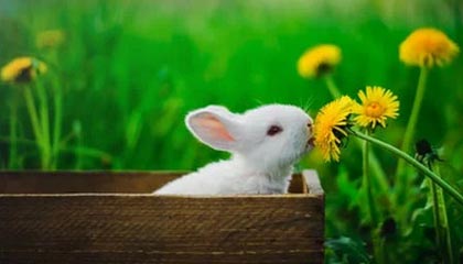 爱游戏app-俱乐部经营模式单一，俱乐部经营管理模式