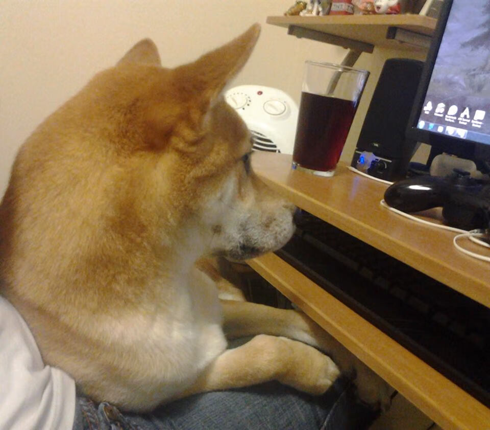 “中超联赛第十轮精彩回顾：豪门再次展现统治力”，中超第十轮对阵