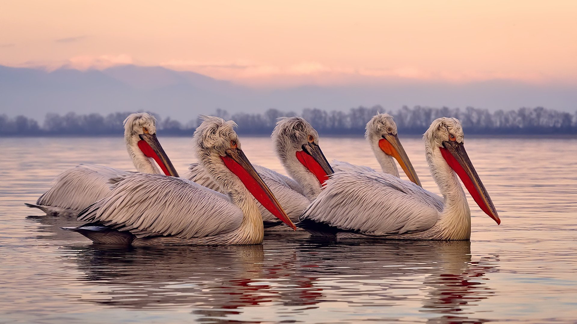 AYX体育-“足球公益项目助推乡村足球，普及全民运动”，农村足球比赛