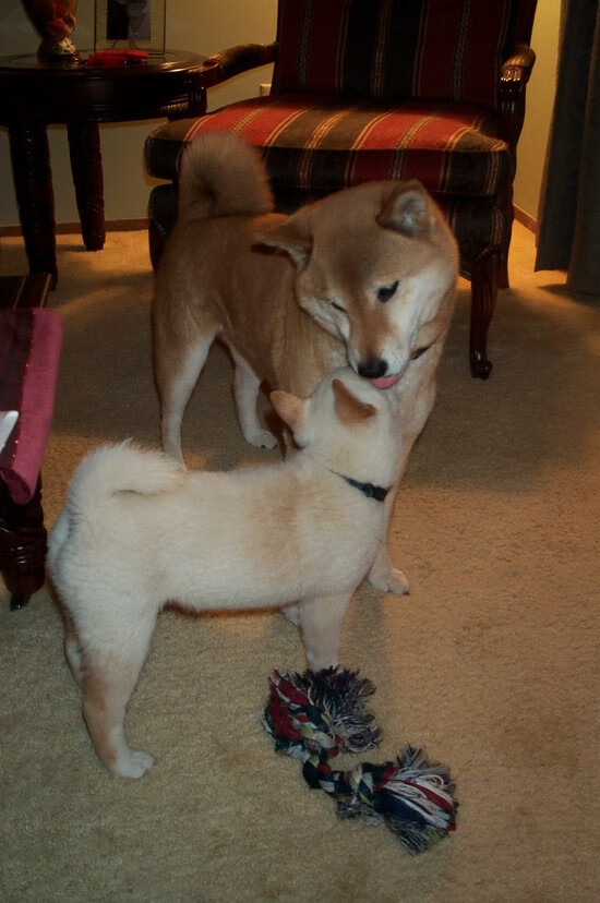 爱游戏体育（AYX）官方APP下载-【“智能球场”】未来可能成为比赛新宠，智能足球场