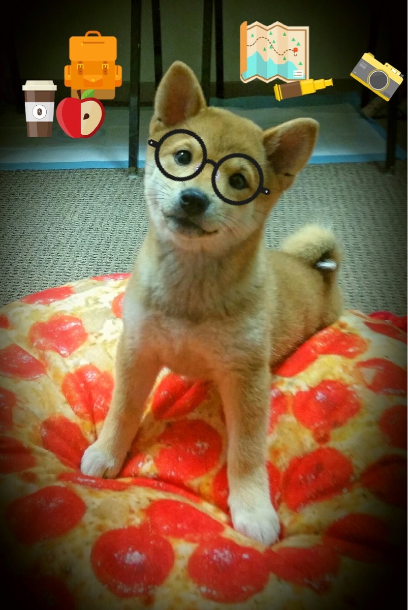 创新科技大揭秘:装备助力WRC车手冲刺巅峰,wrc车手是怎样培训的