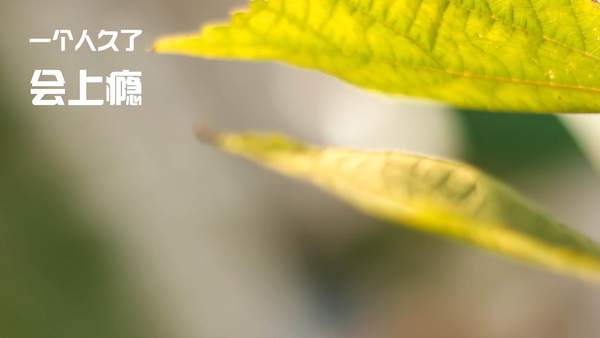 少年篮球“掌上赛场”APP上线,线上线下融合推广青训,青少年篮球比赛报名app