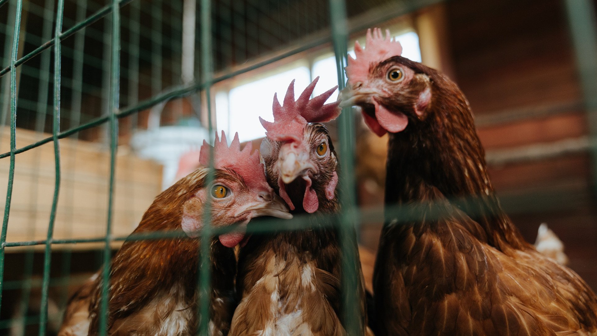 爱游戏登录入口-守望先锋 战队战术创新频繁，守望先锋最强战队2020