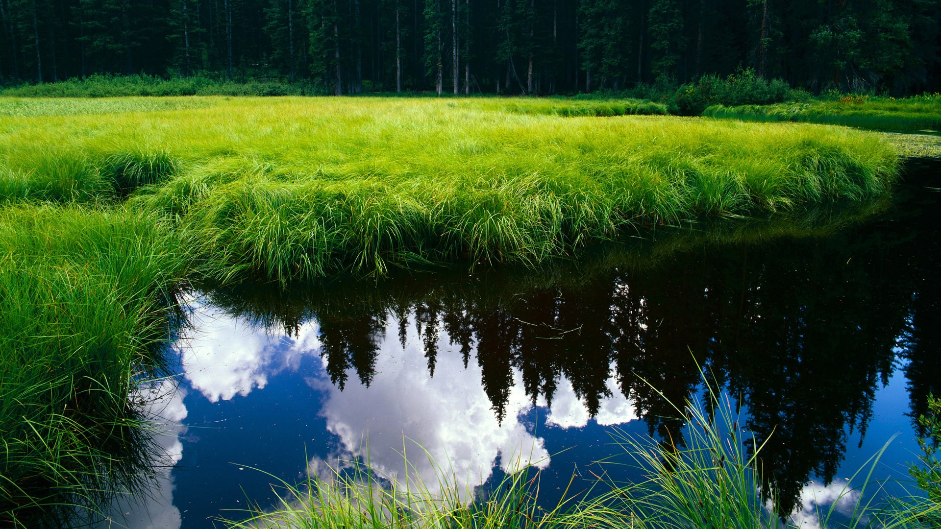 日本足球未来可期，奥运成绩备受期待，日本奥运会2021足球比赛