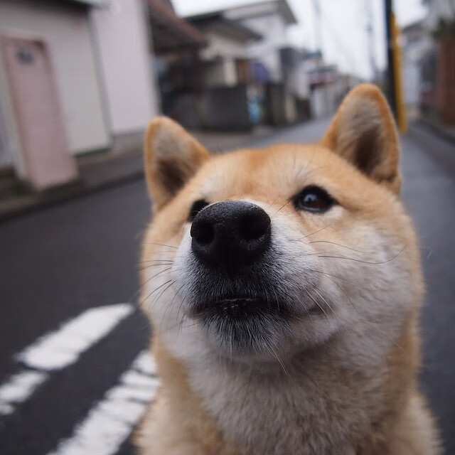 比赛直播:本周末焦点赛事全程回放,今日焦点赛事,本场分析