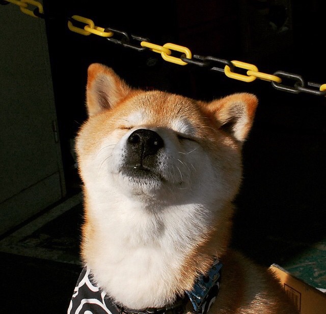 篮下争夺激烈:北京队篮板抢到48个,攻守两端占优,北京篮球吧