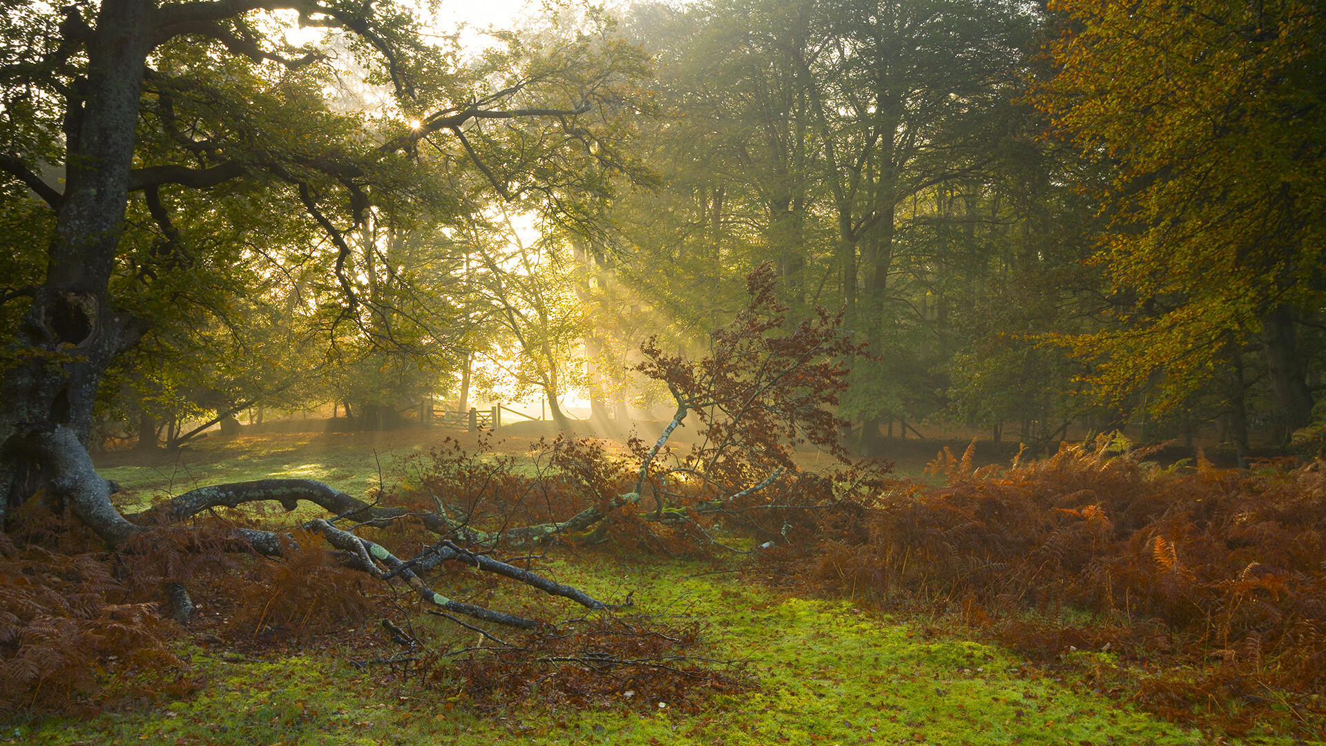 爱游戏官方网站-篮球场馆建设标准化推进地方体育发展，篮球运动场馆
