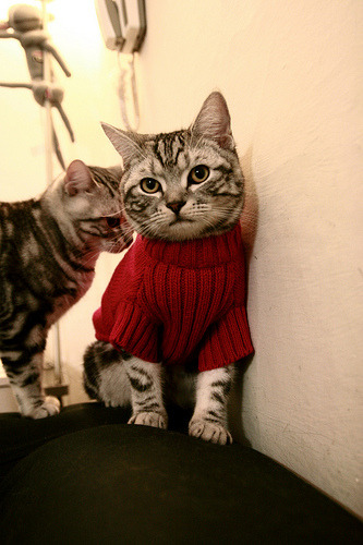 爱游戏体育APP下载-纽伦堡中场组织体系渐成熟，纽伦堡主场球衣