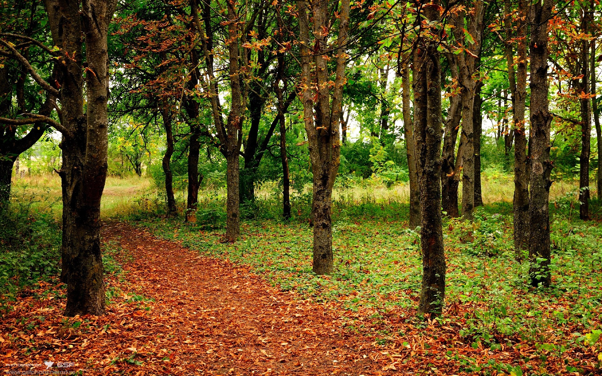 足球专项人才就业平台上线运行，足球人才培养计划