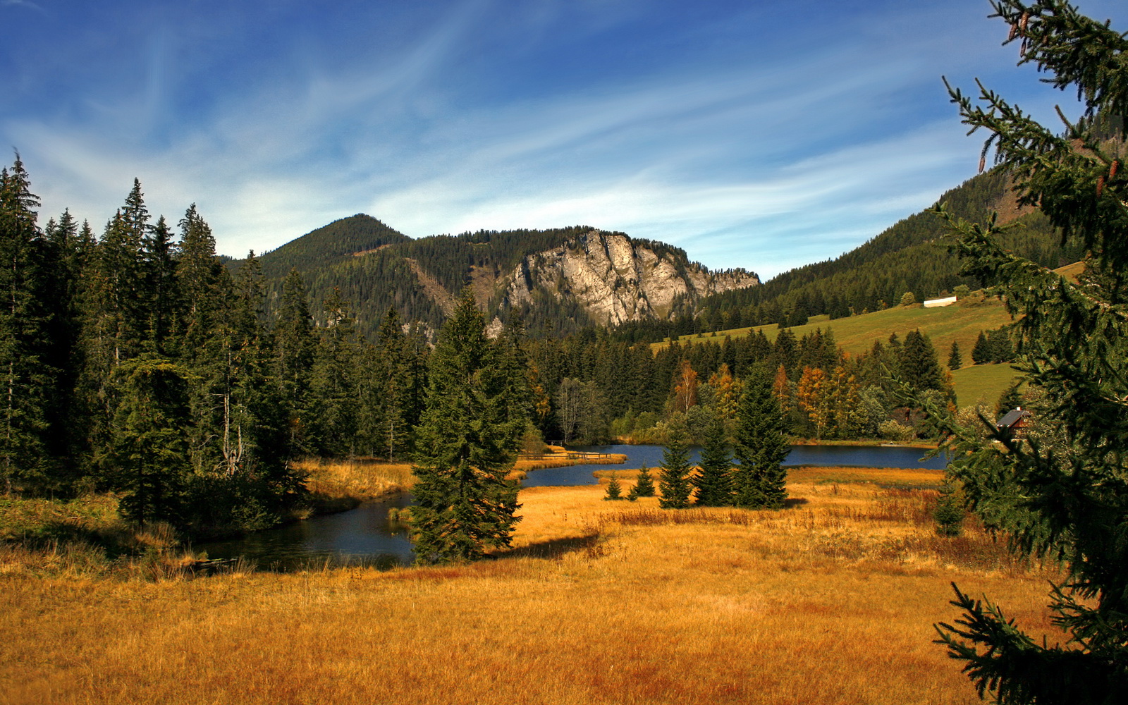 全球战队技术交流会召开,机全界战队
