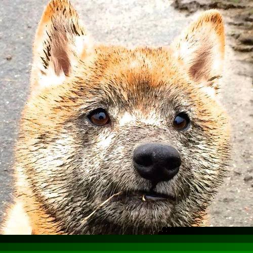 爱游戏体育app-巴塞罗那主场5-1大胜塞维利亚，继续领跑积分榜，巴塞罗那对阵塞维利亚结果