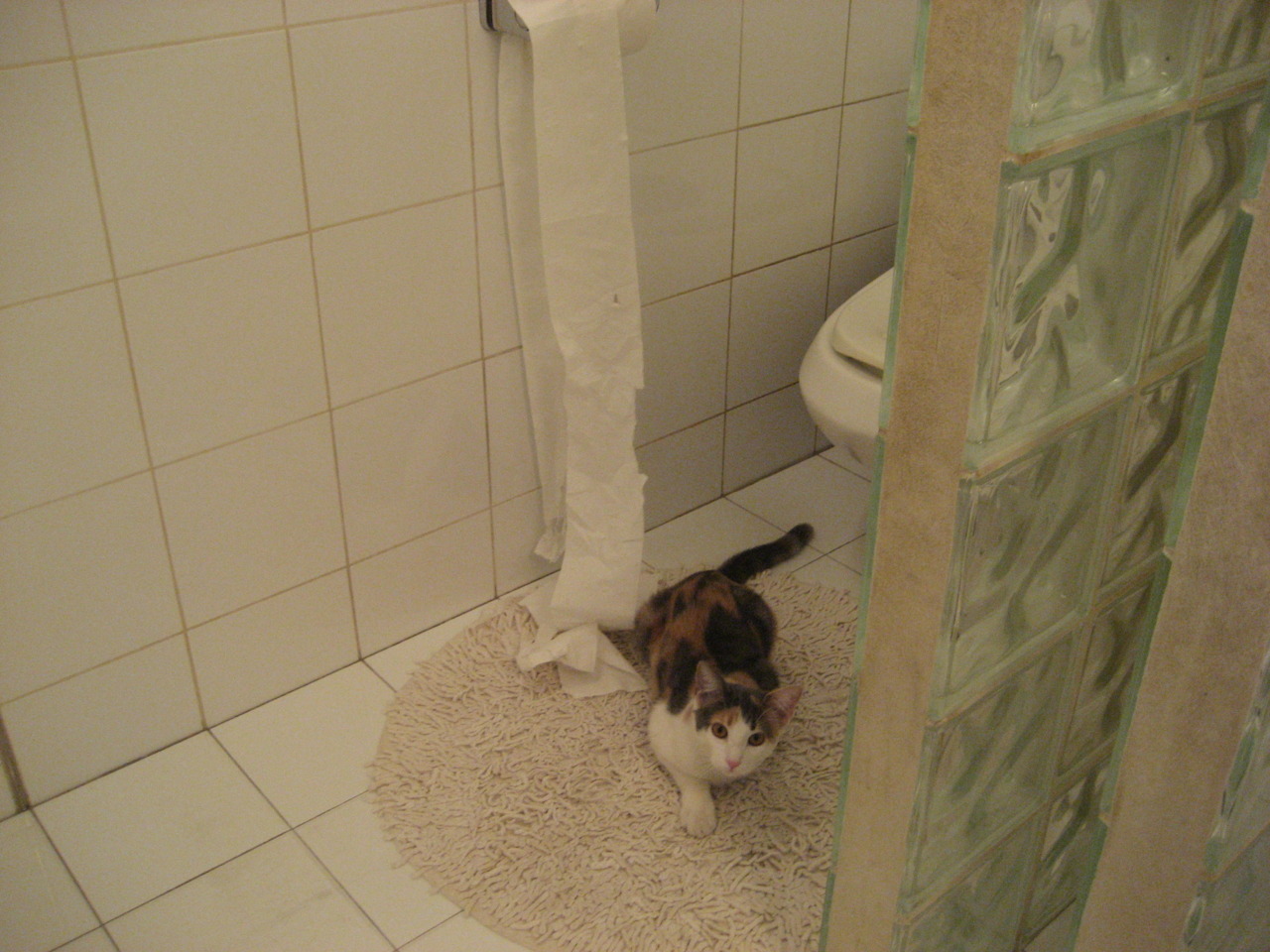 AYX GAME-捷克获得宝贵积分，晋级欧洲杯前景看好，捷克欧洲杯晋级之路