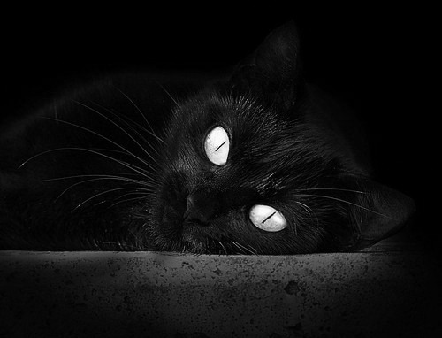 摩洛哥队在巴黎奥运会男足比赛中表现出色,赢得铜牌,摩洛哥足球队成员