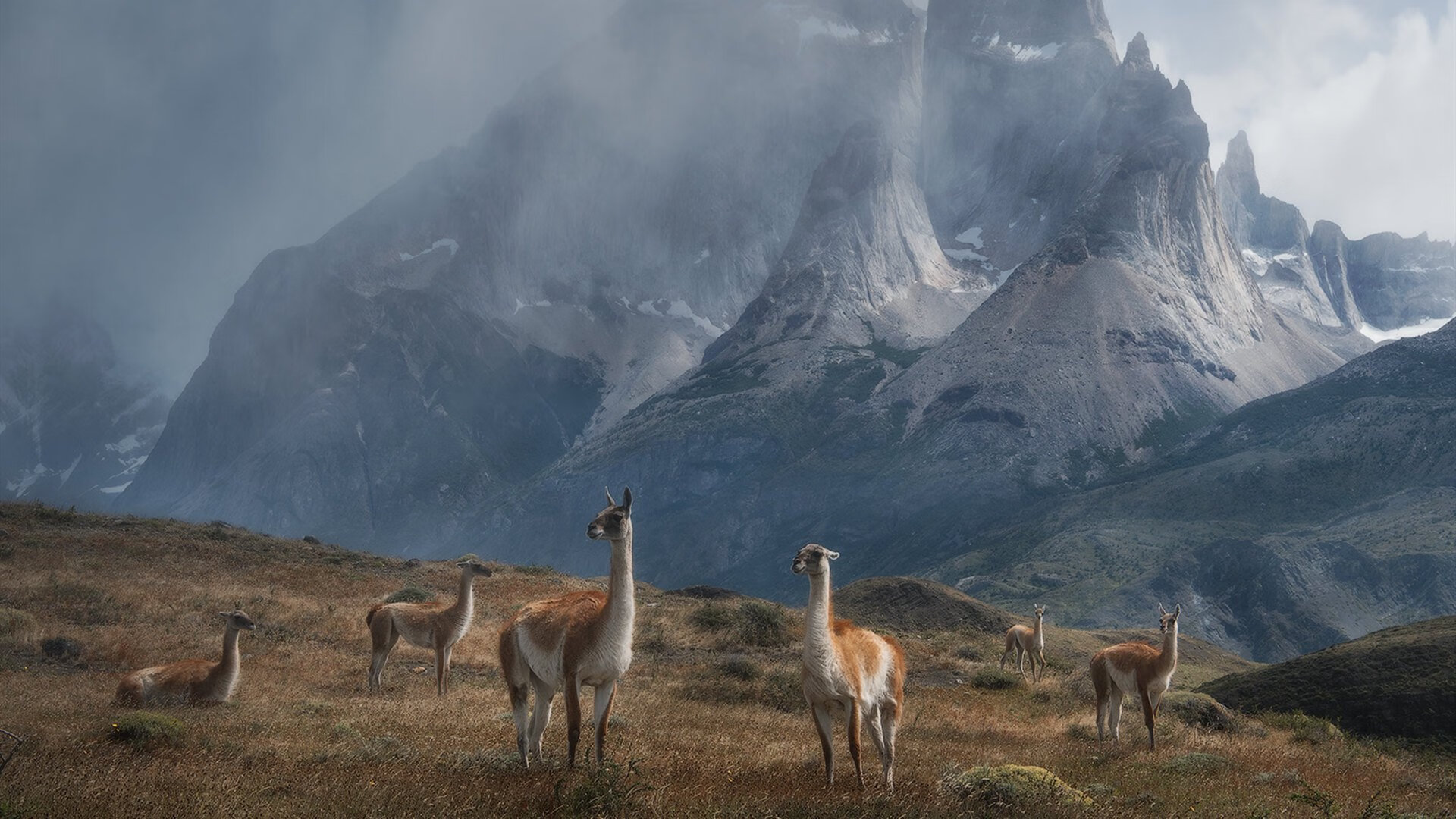 爱游戏综合娱乐-挪威队表现抢眼，实力暴露无遗，挪威球队介绍