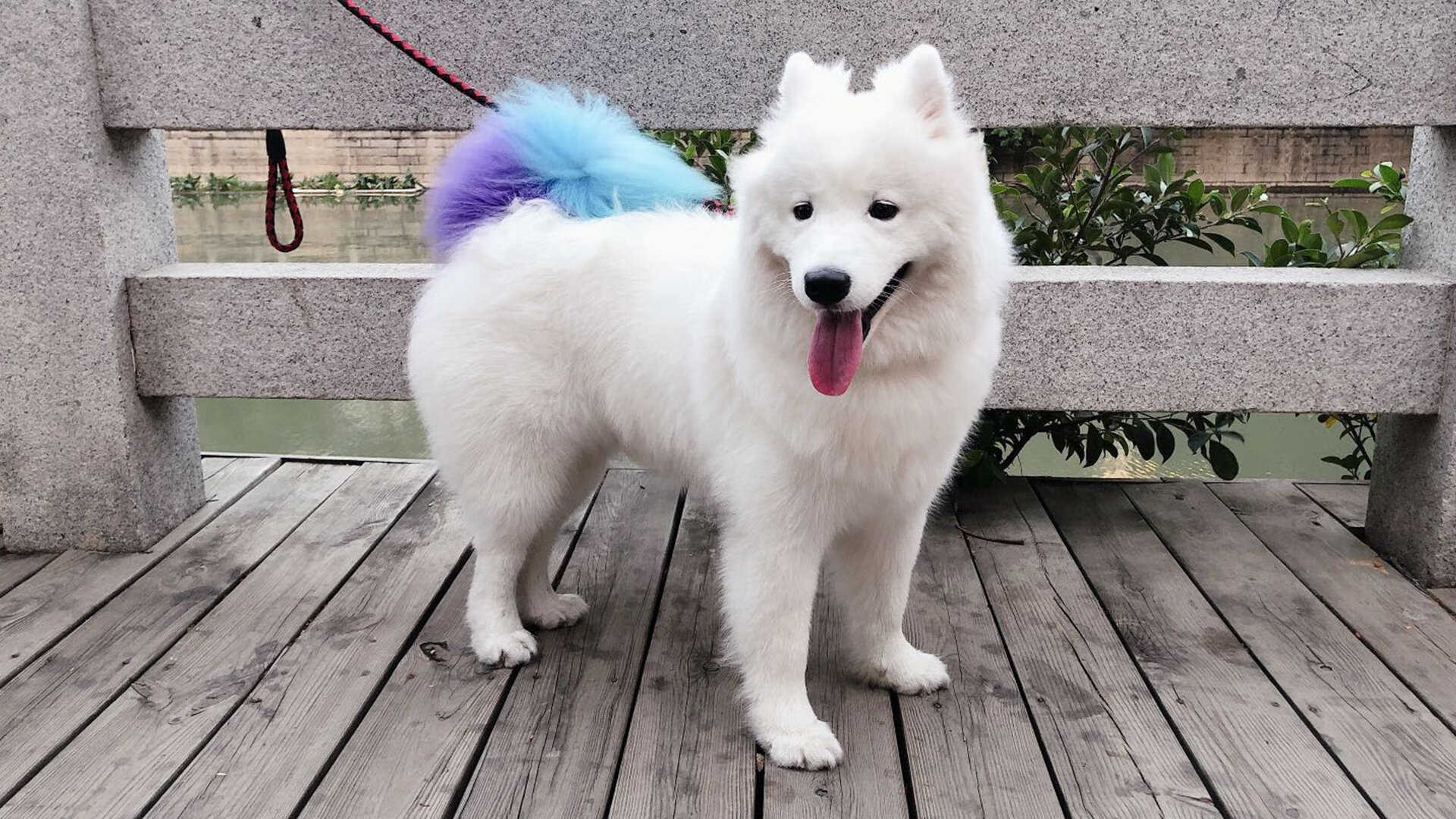 AYX GAMING-湖南金健获全运会拳击金牌，年轻拳手爆冷夺冠，湖南拳击冠军是谁