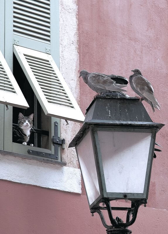 韩选手星际争霸排名持续攀升，星际争霸韩国选手