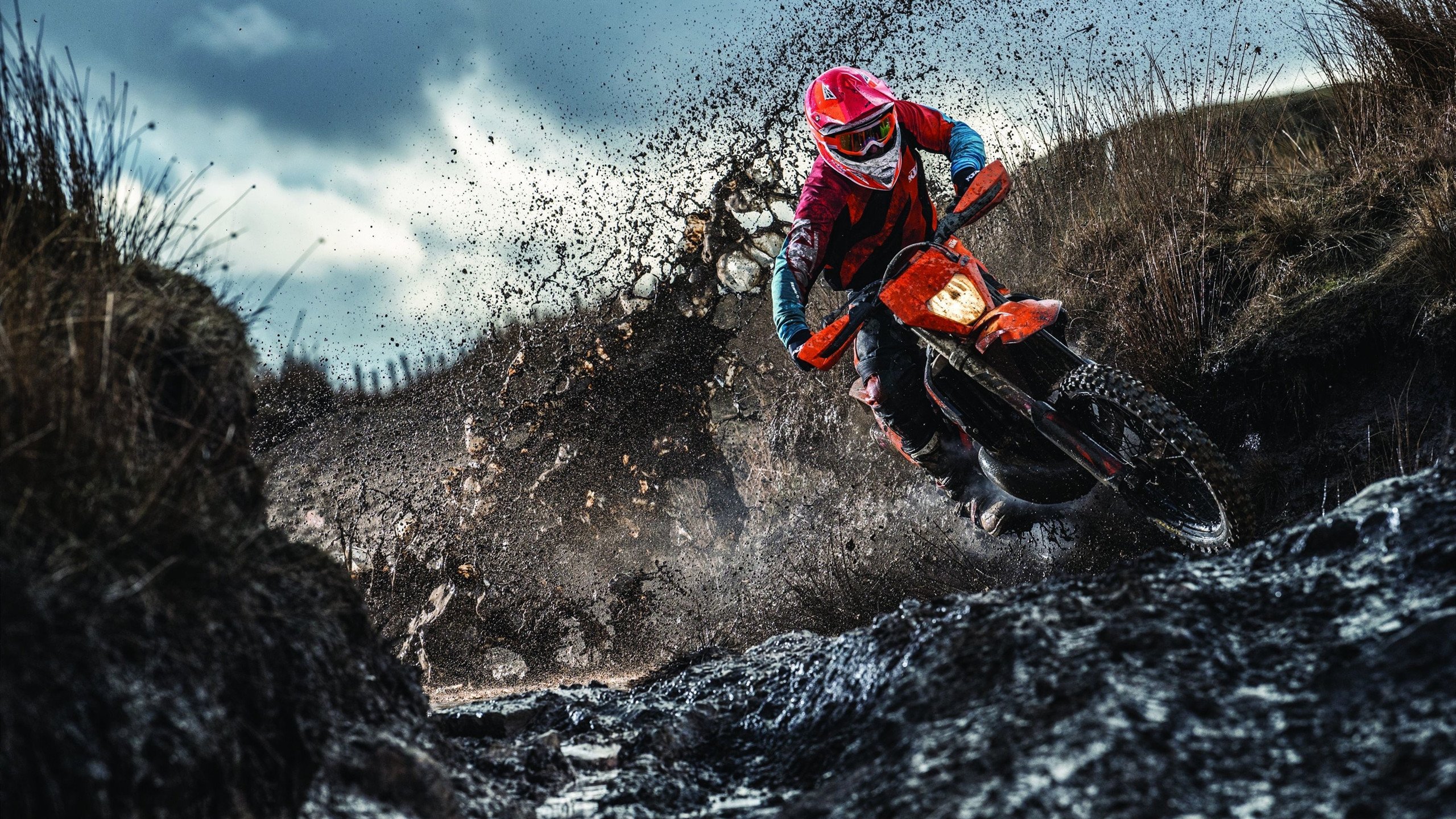 韩选手星际争霸世界赛夺冠，星际争霸韩国选手排名