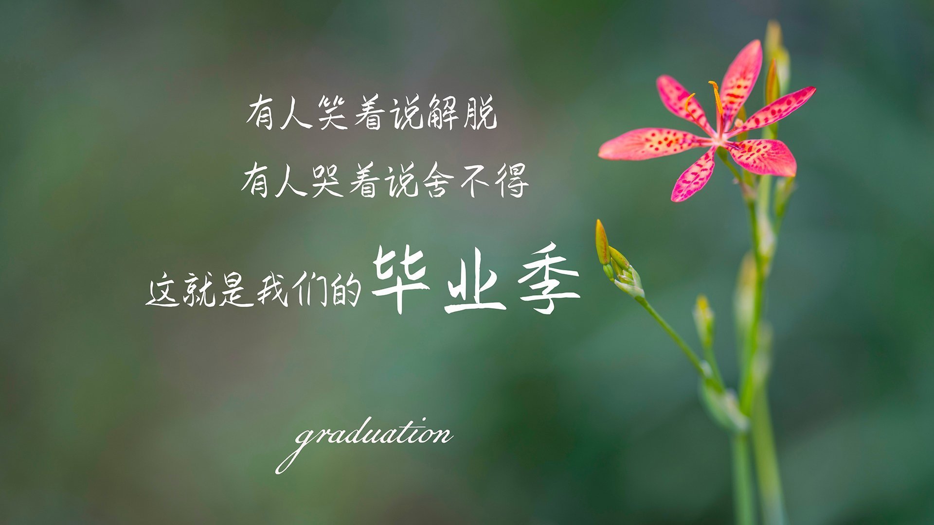 爱游戏登录入口-马尔科斯·达尔梅达在2024年南美锦标赛中以完美的30分收尾，赢得冠军