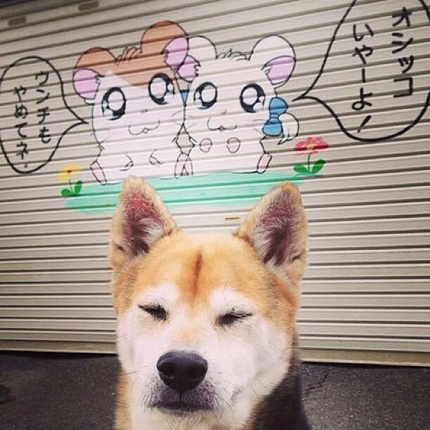 中国篮球市场细分与精准营销实践探讨，中国的篮球市场