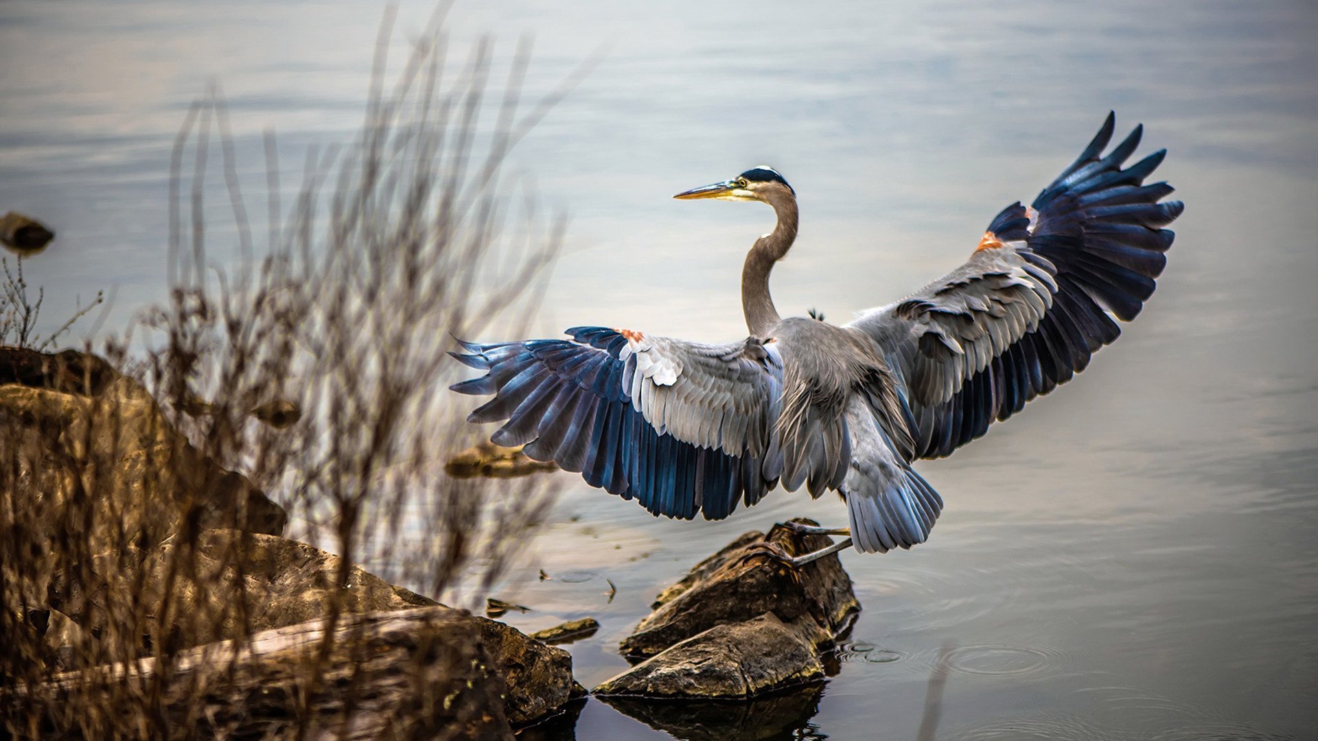 AYX GAME-体育场馆安全设施升级方案，体育场馆安全设施升级方案及措施