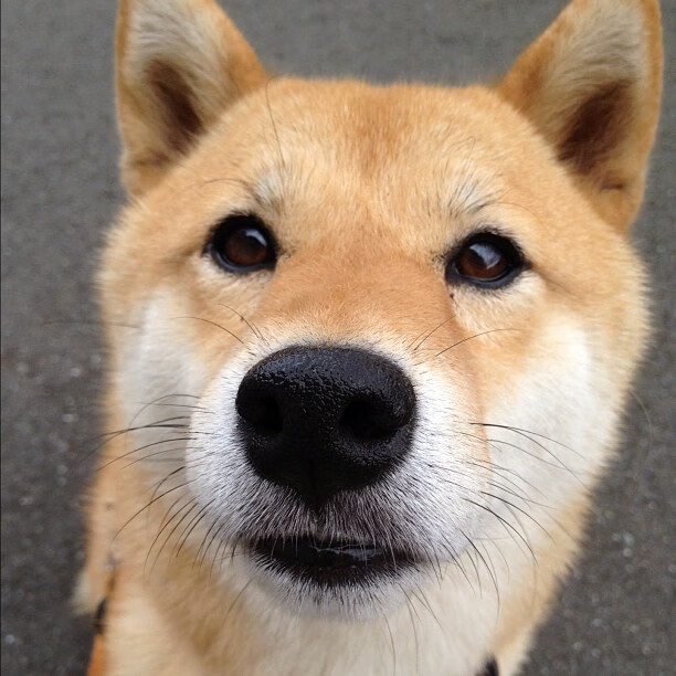 校园体育文化活动策划与实施研究，学校文化体育活动实施方案