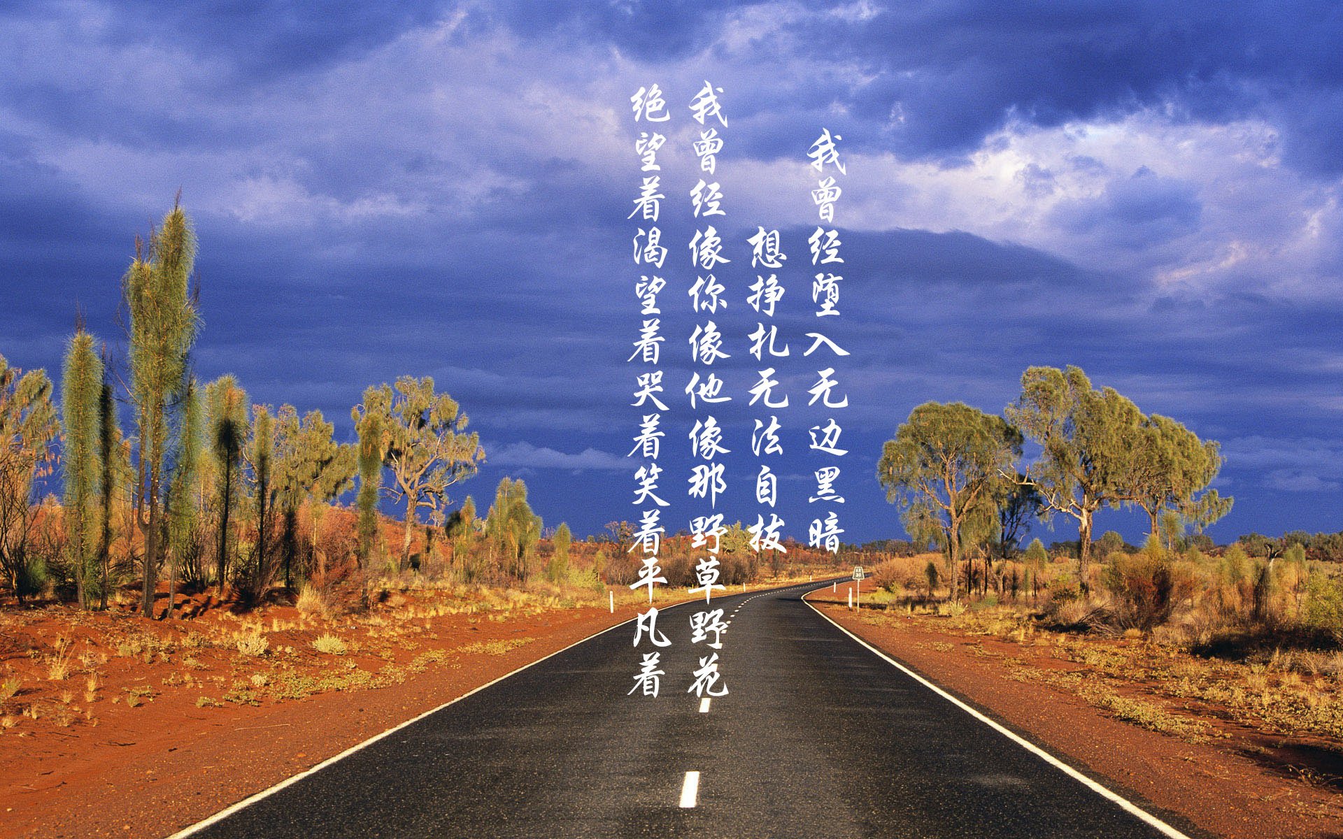 中国香港队赛制探讨:如何通过团体协作发挥更强战斗力,香港队比赛