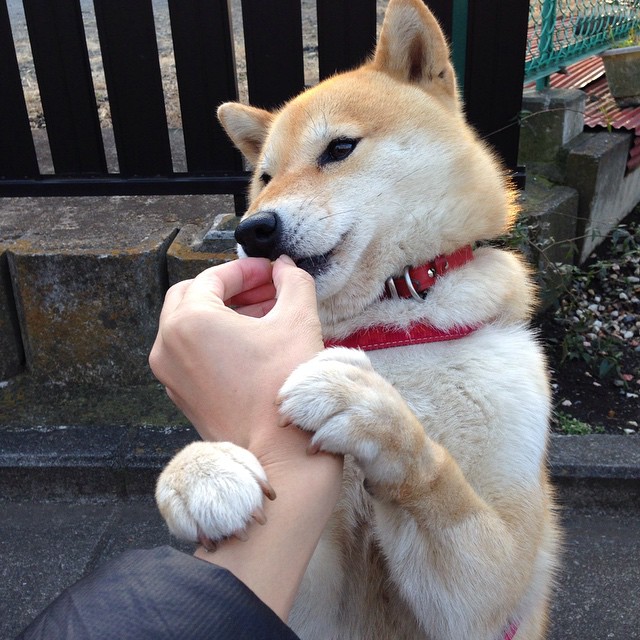 CBA球队设立球员康复评估室提升身体恢复效率,cba康复师