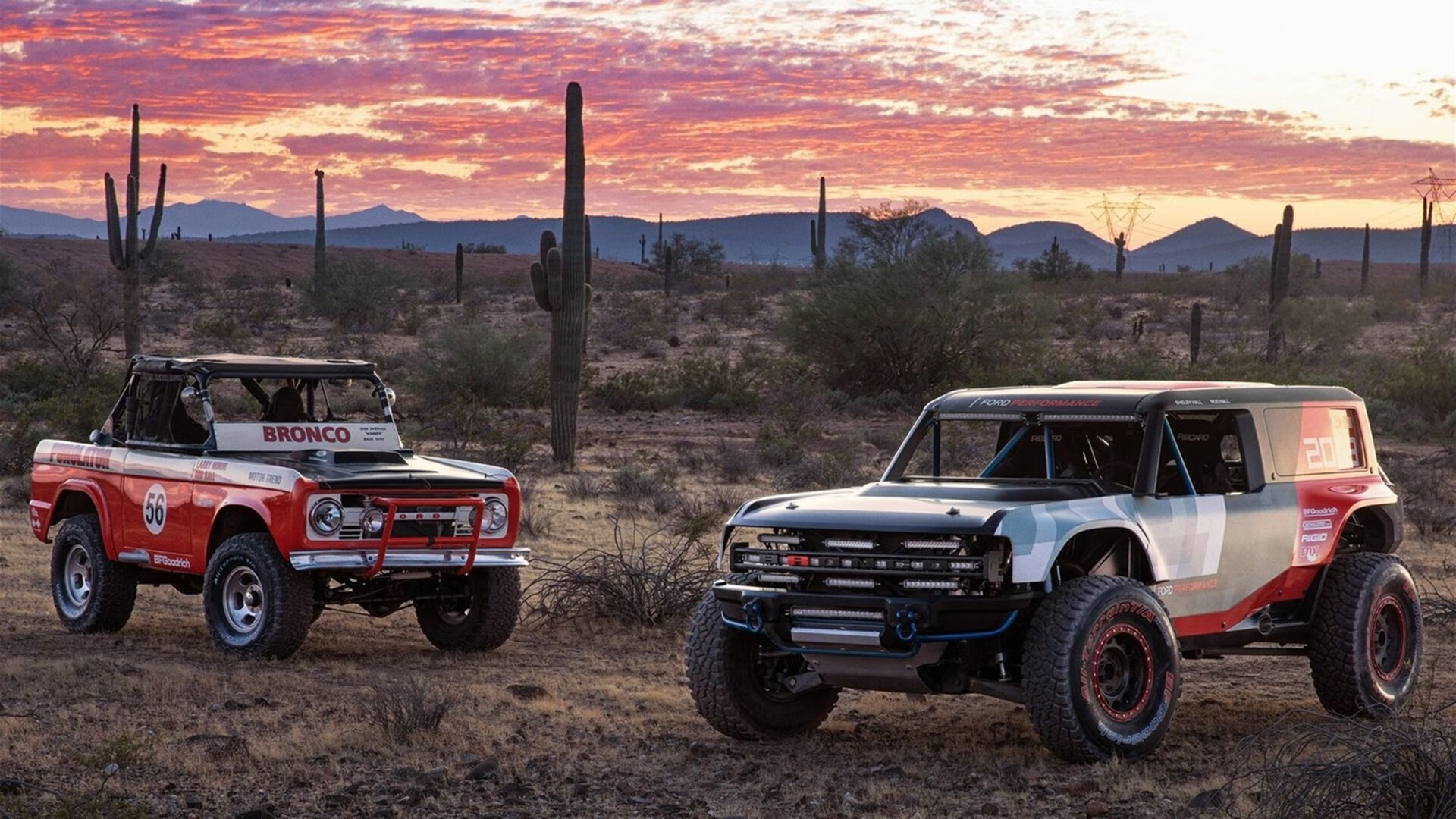 仰泳项目突尼斯节奏稳定推进,71+83加92+9