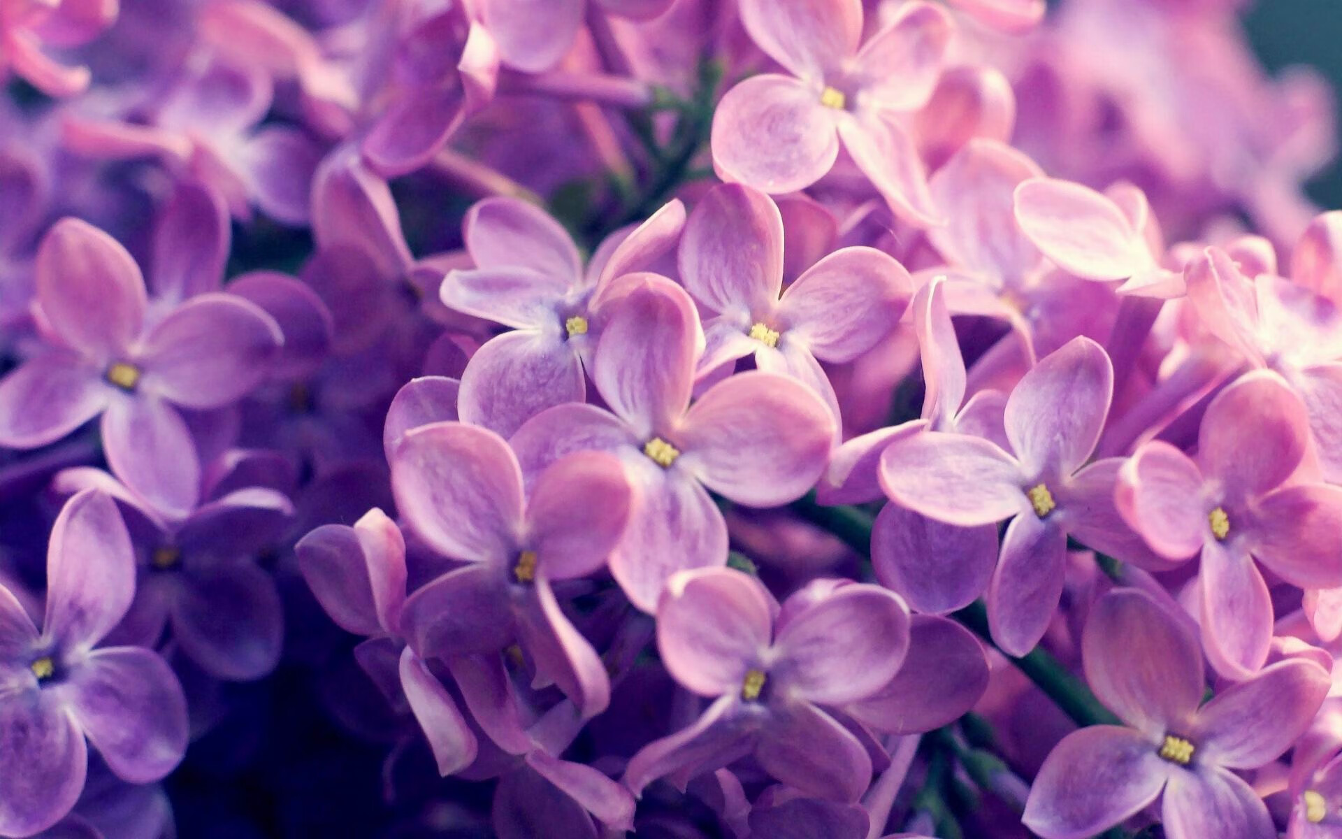 爱游戏官方网站-尼克斯反击成功率提升转换进攻成亮点，尼克斯训练