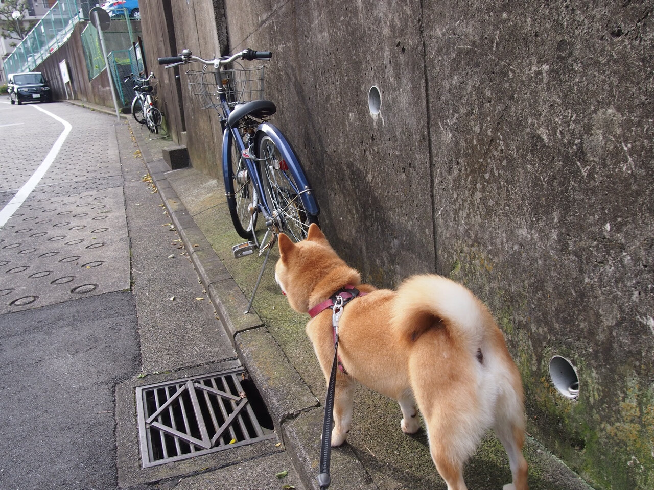 爱游戏平台-欧洲杯逆境反击：战术调整中的精彩瞬间，欧洲杯反击进球