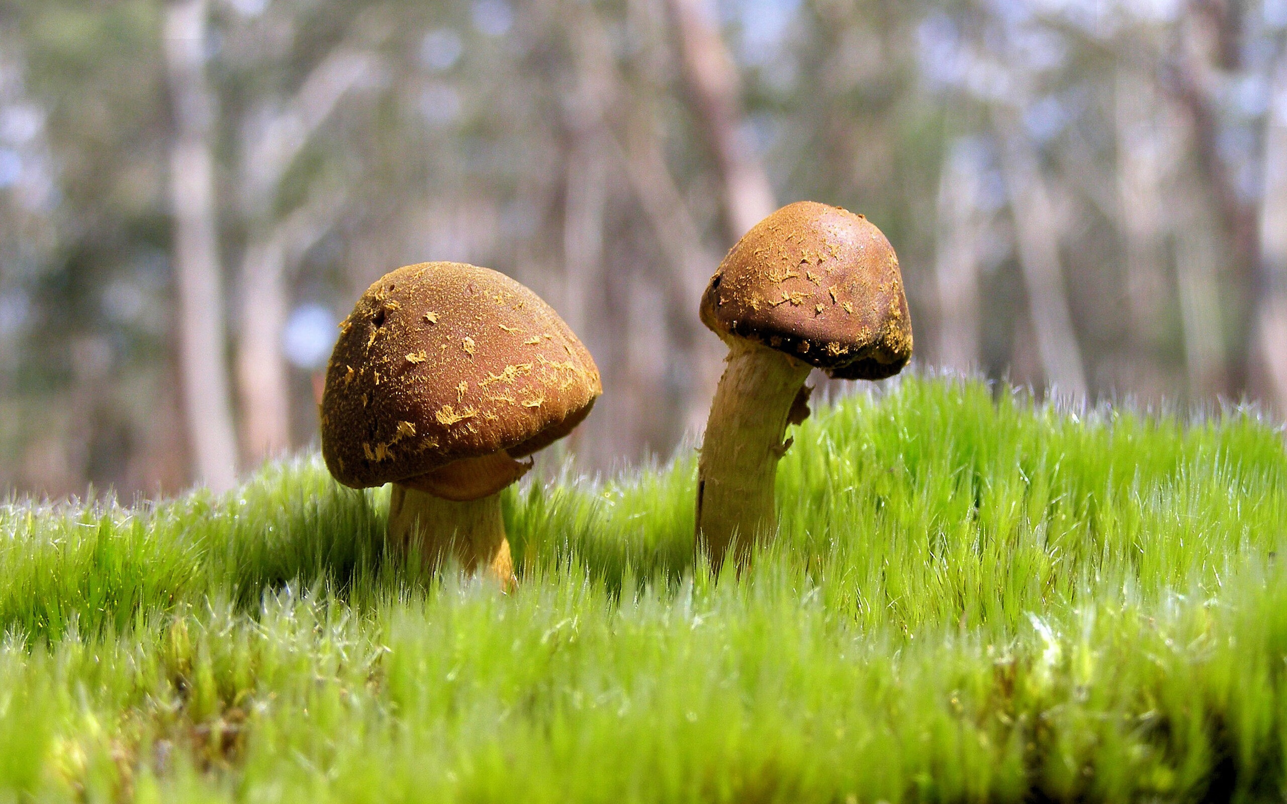 球队连续零封对手防守体系日趋成熟赢得媒体高度评价,足球零封什么意思