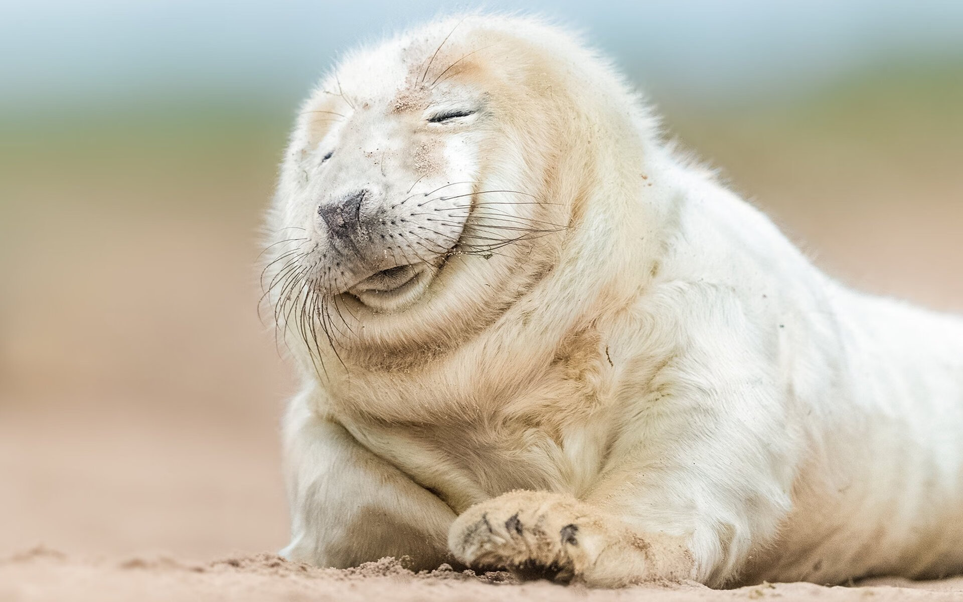 詹姆斯新赛季前瞻目标直指总冠军,詹姆斯2022赛季